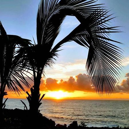 Pahoa Paradise Palms Exterior foto